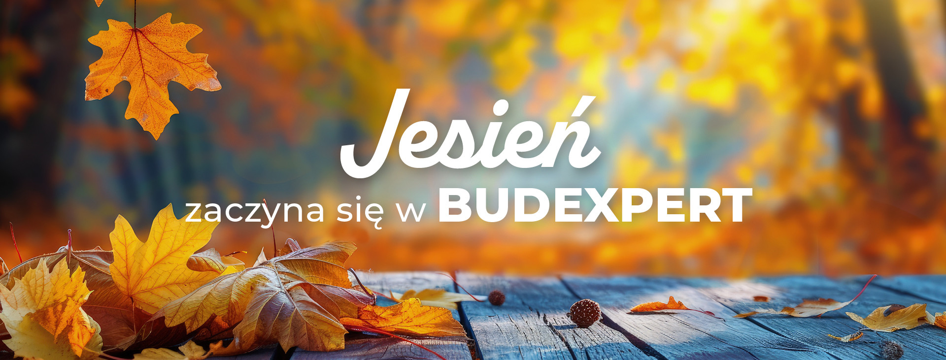 Grupa PSB mrowka PSB Knurów